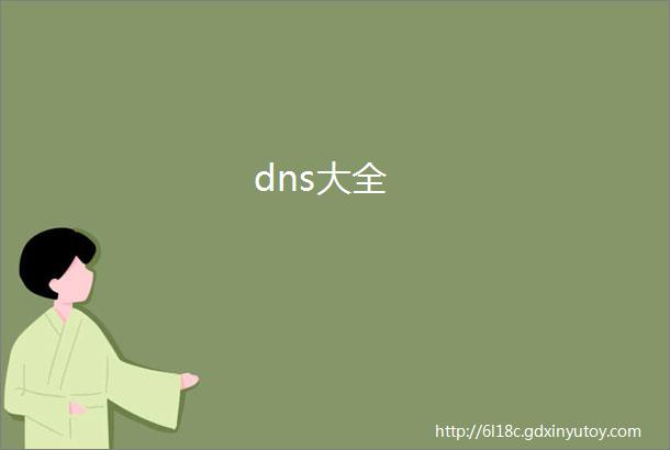 dns大全